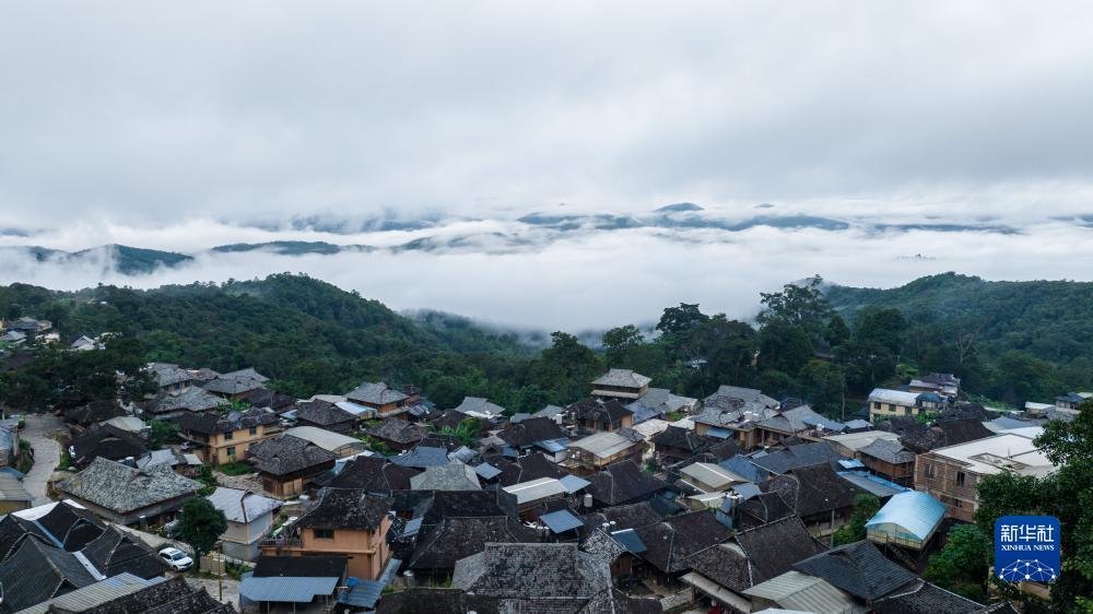 皇冠线上登录